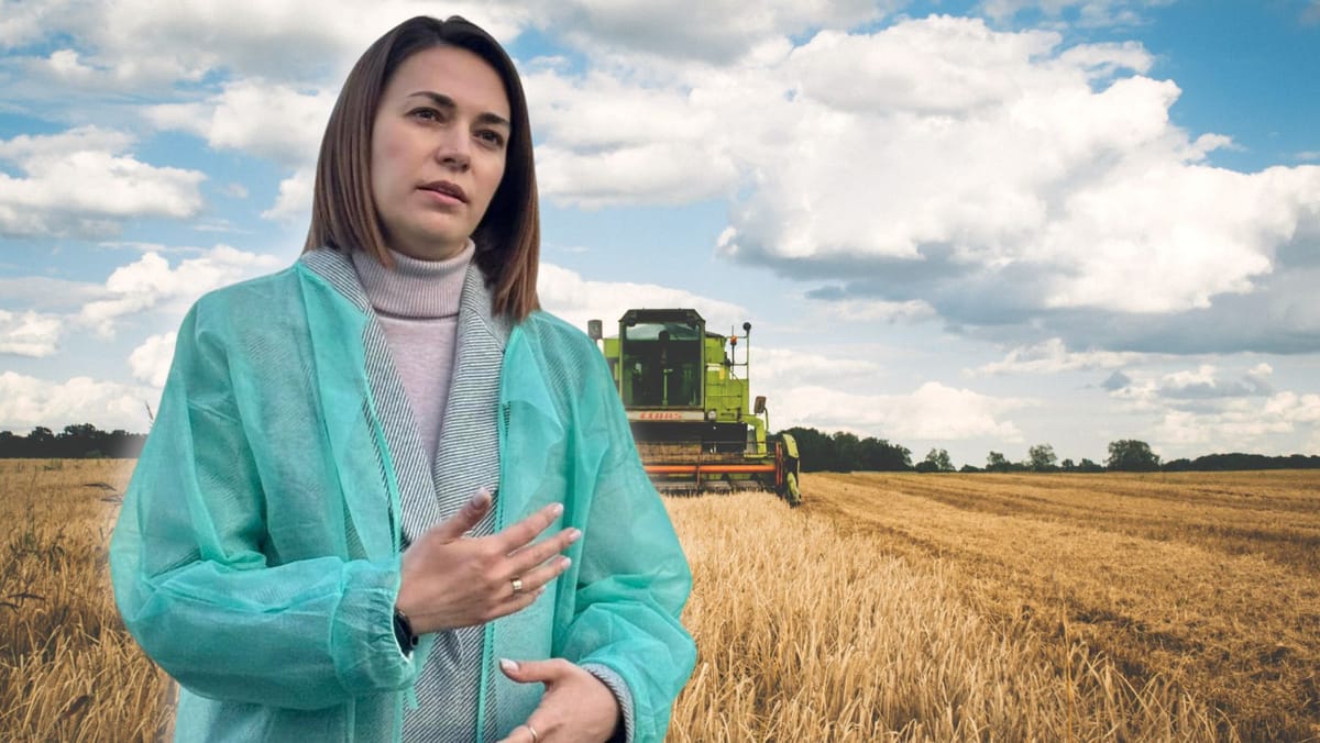 Ministerul Agriculturii respinge prelungirea licențierii importurilor din Ucraina, în pofida solicitării fermierilor