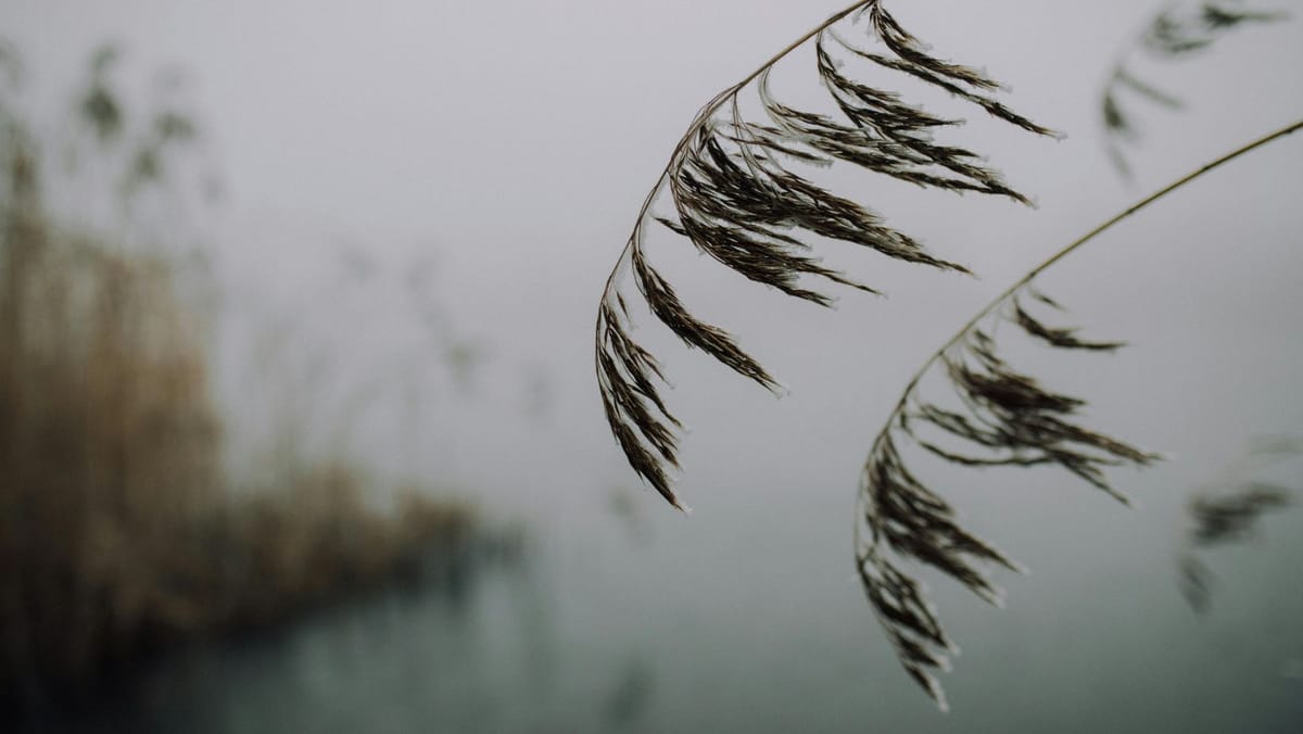 Meteorologii anunță vreme rece cu lapoviță și ninsoare slabă în Republica Moldova