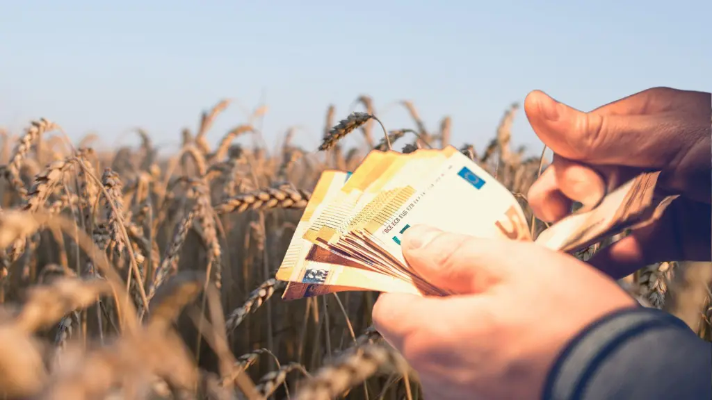 Fermierii au năvălit cu cereri pentru a lua credite agricole ieftine: 250 de afaceri finanțate în 9 luni