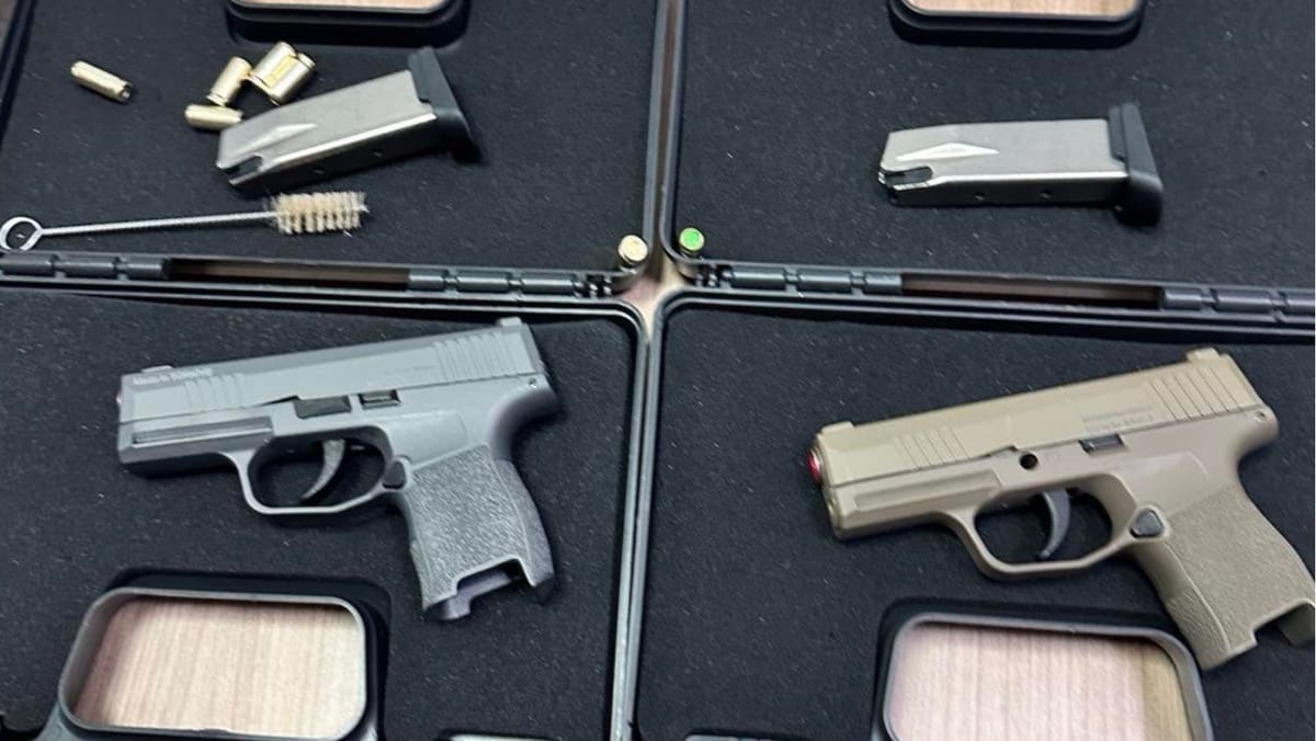 Foto/ Descoperire neobișnuită la Palanca: arme și muniții camuflate într-o pernă de călătorie