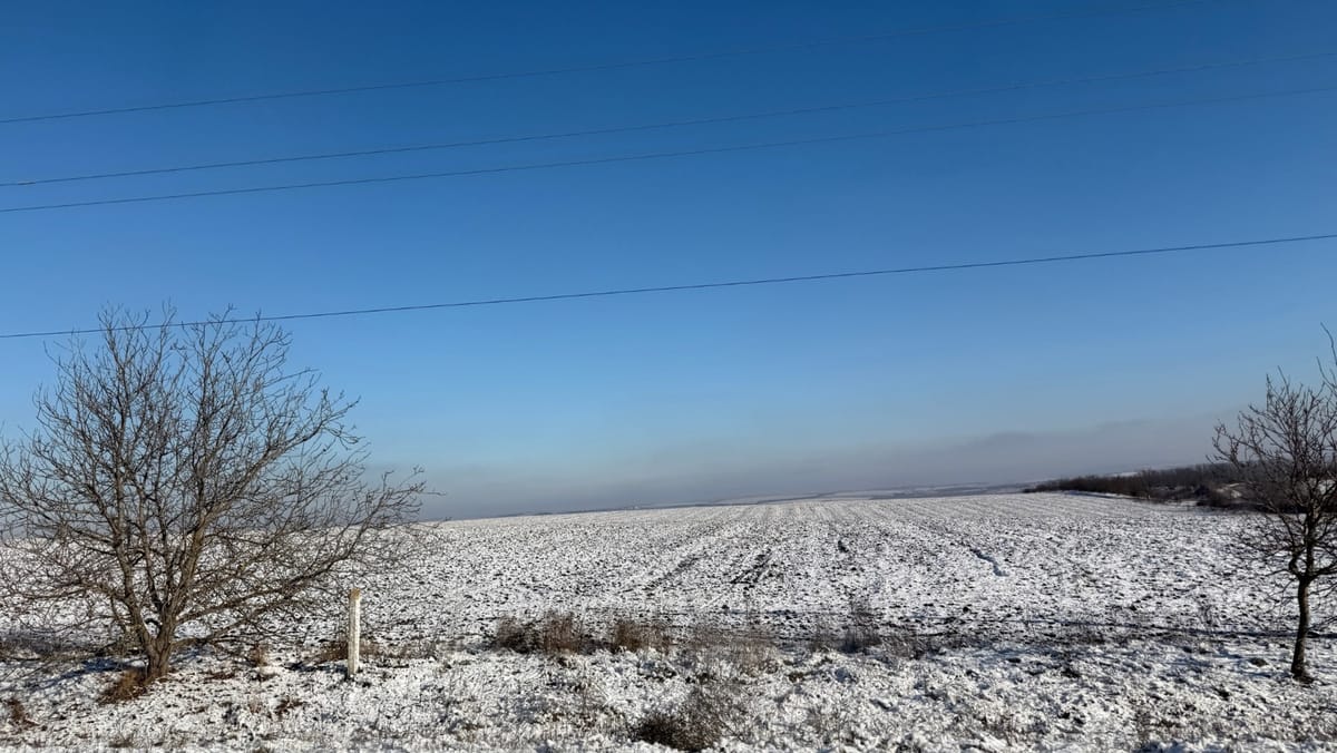 Culturile de toamnă trec cu bine peste frigul de până la -12°C, potrivit Ministerului Agriculturii