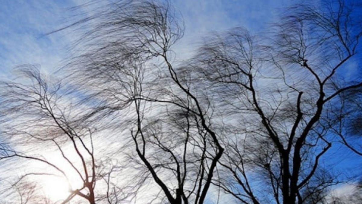 R. Moldova, sub avertizare meteo: vânt puternic până la sfârșitul săptămânii - recomandările salvatorilor