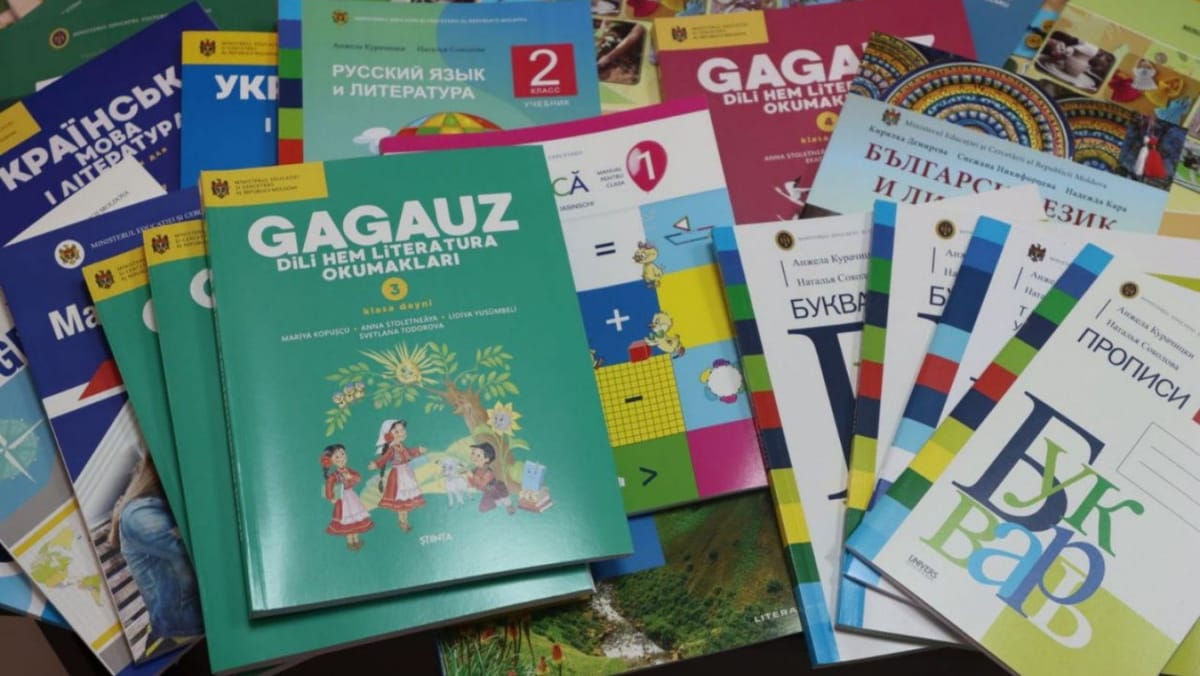 Ministerul Educației pregătește un plan pentru învățarea și promovarea limbii găgăuze