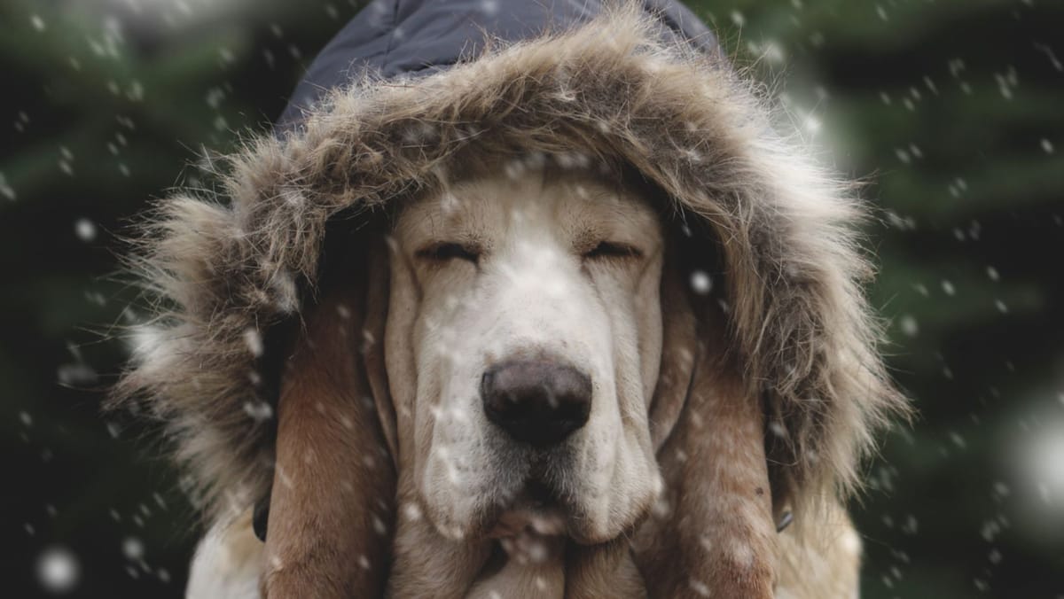 Vreme rece și vânt puternic sâmbătă în toată țara. Hidrologii avertizează cu privire la formarea gheții pe râuri