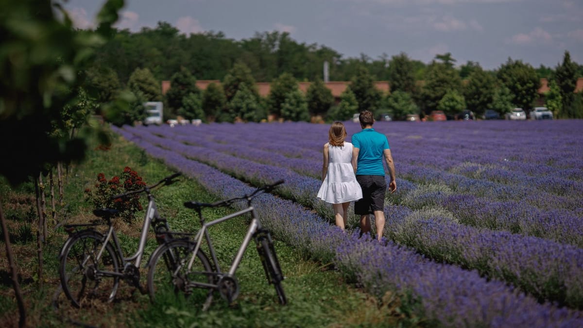 Turismul ar urma să fie gestionat de Ministerul Dezvoltării Economice și Digitalizării? Asociația de profil salută decizia