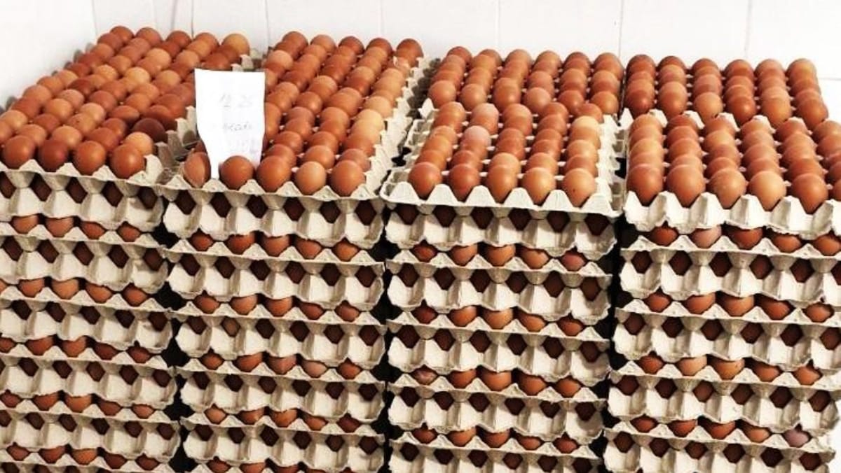 Ouă contaminate cu antibiotice interzise, retrase din magazine.  ANSA recomandă returnarea produselor