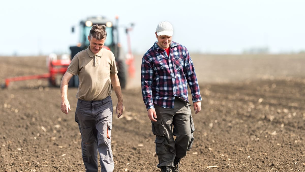 Fermierii afectați de calamități primesc un răgaz: Guvernul suspendă executările silite pentru 12 luni