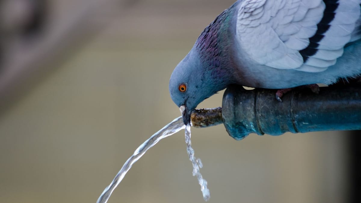 Acces la apă potabilă pentru 12.000 de oameni: Zece localități vor fi conectate la apeductul Soroca-Bălți-Sîngerei