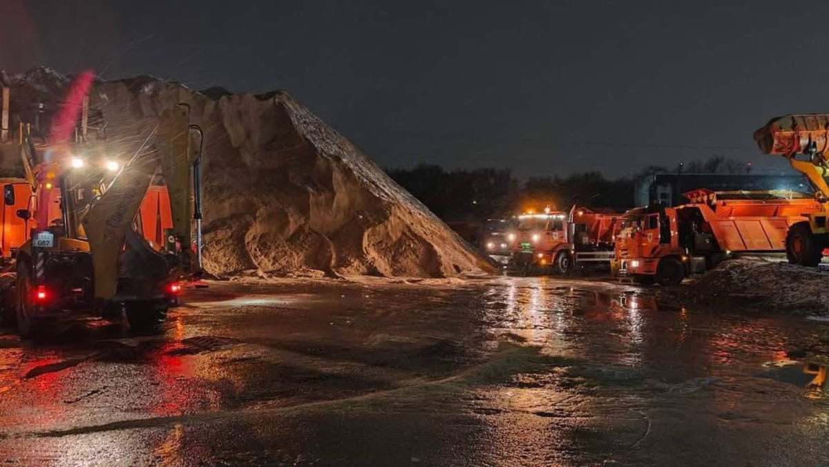 Serviciile municipale, mobilizate în această noapte pentru intervenții în urma ninsorii și a vântului puternic