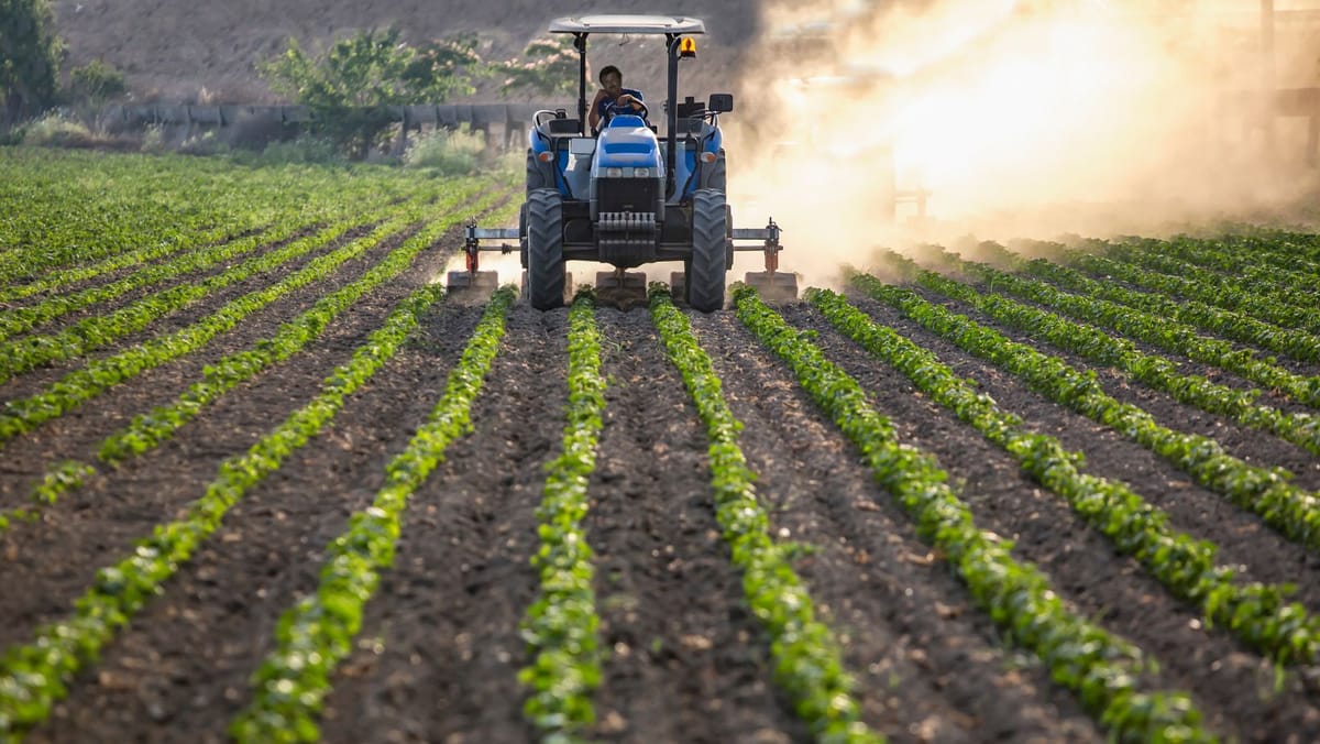 Suportul oferit agricultorilor de AIPA în 2025 a crescut