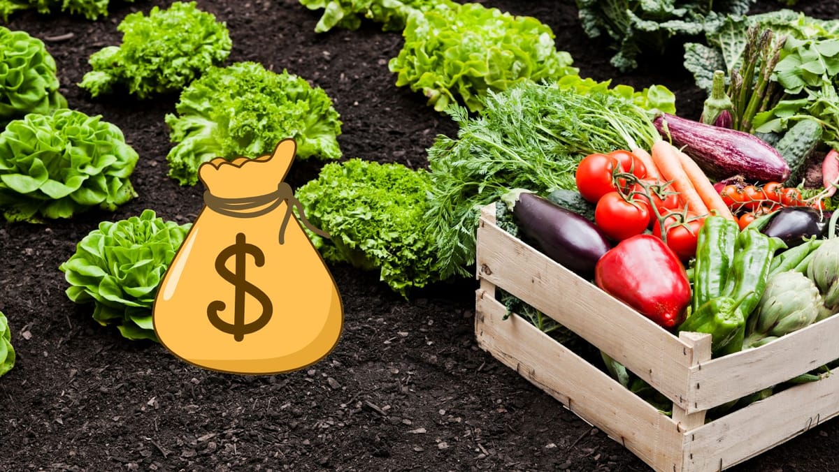 Vești bune pentru agricultori: Agenția de Intervenție și Plăți pentru Agricultură a autorizat subvenții de 680 de mii de lei