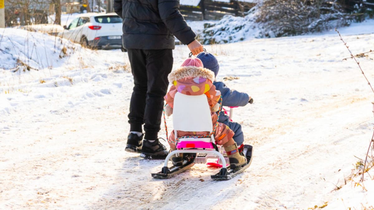 Săniuțele - la mare căutare. Unde le pot găsit părinții și cât  trebuie să scoată din buzunare