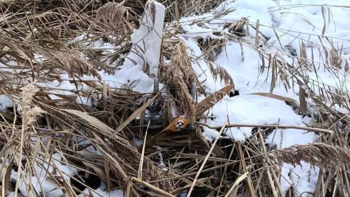 Pe malul unui iaz din raionul Telenești a fost găsită o dronă de circa 2,5 metri