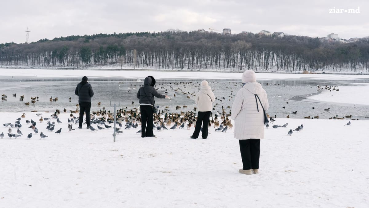 Iarna se menține pe poziție, însă fără ninsori. Prognoza meteo pentru 13 ianuarie