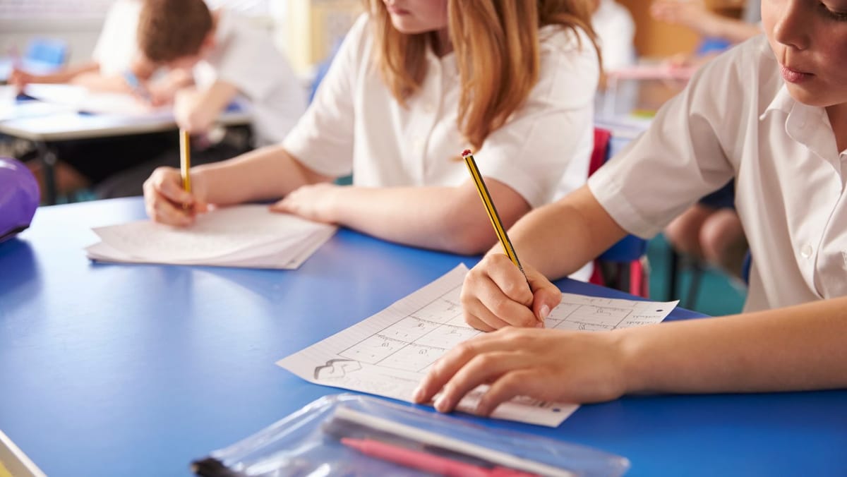 Școlile pot trece temporar la lecții online din cauza poleiului. Recomandare de la Ministerul Educației