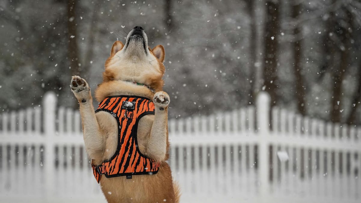 Vremea se răcește! Meteorologii anunță lapoviță, vânt și temperaturi negative în toată țara