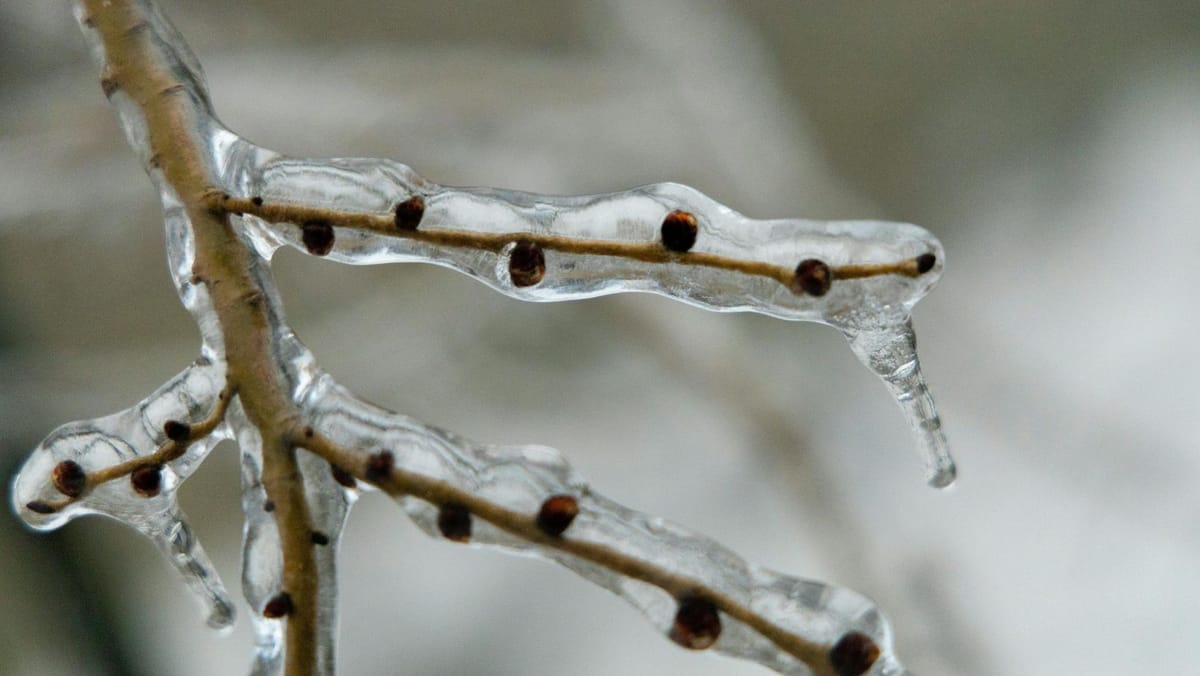 Start de săptămână cu vreme instabilă și precipitații. Prognoza meteo pentru luni