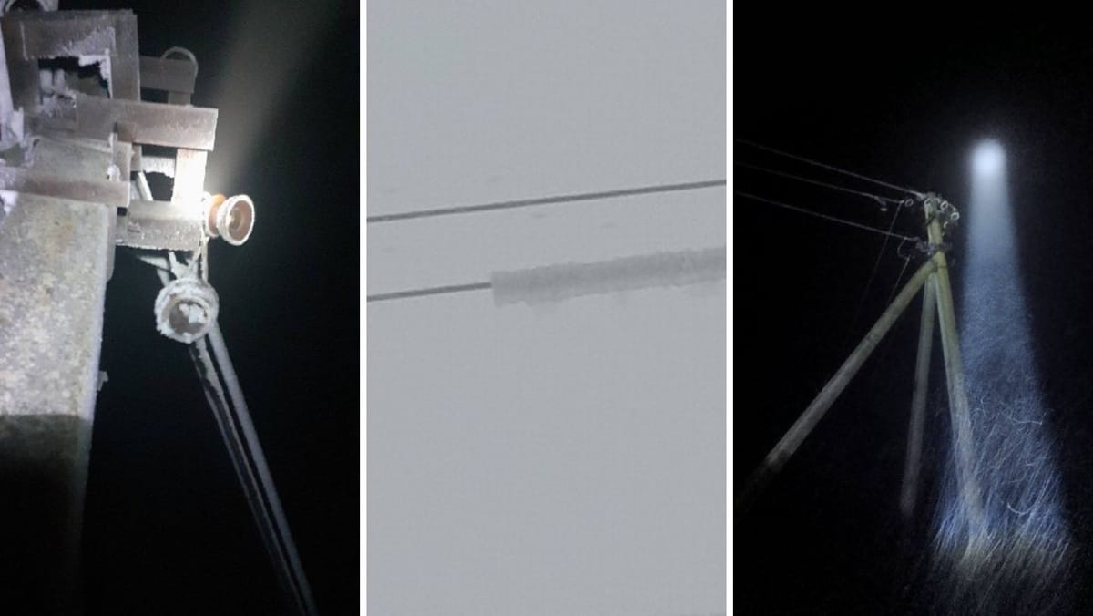 Poleiul a provocat întreruperi de curent în mai multe regiuni ale țării. Mii de consumatori sunt afectați