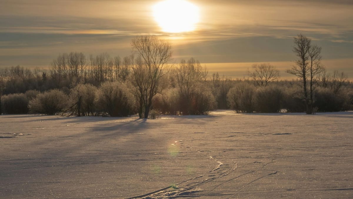 Prognoza meteo de Bobotează: frig accentuat în toată țara. Iată unde va ninge