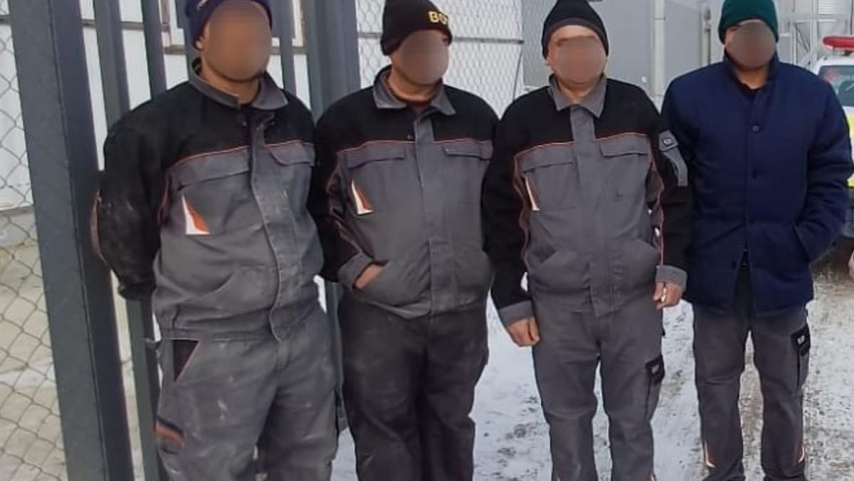 Muncă la negru la o fermă avicolă din Nisporeni: patru cetățeni străini, prinși fără drept legal de angajare