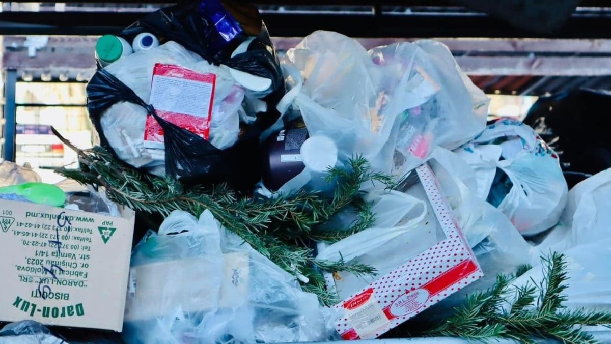 Primăria Chișinău explică cum se colectează corect brazii după sărbători