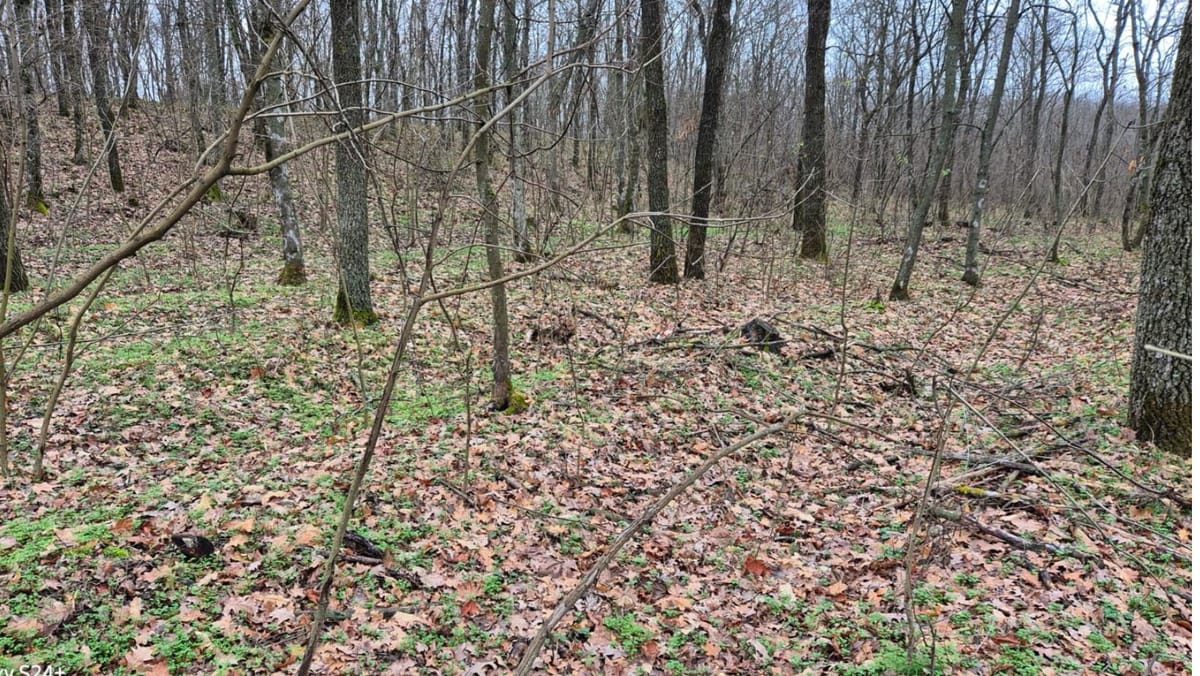 161 de arbori tăiați ilegal, depistați la Criuleni în urma unui control inopinat. A fost sesizată Procuratura