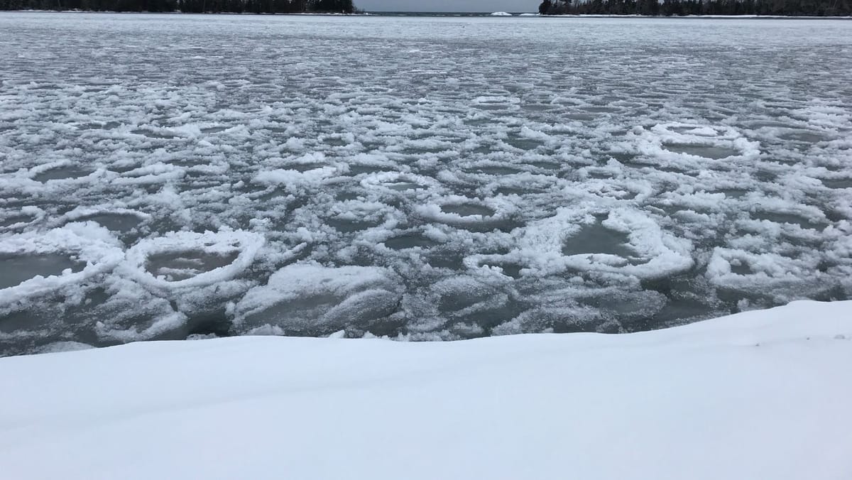 Gheața de pe Prut și Nistru poate fi periculoasă! Meteorologii avertizează asupra riscurilor hidrologice