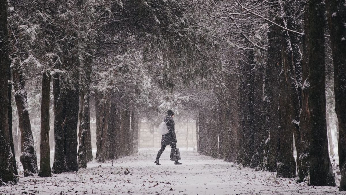 Astăzi va ninge în cea mai mare parte a R. Moldova. Izolat se așteaptă lapoviță și cer noros