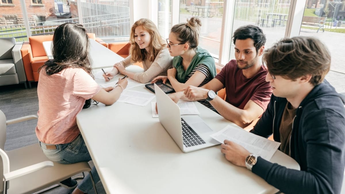 Vești bune pentru organizațiile de tineret: 35 de proiecte vor fi finanțate cu 14 milioane de lei în 2026