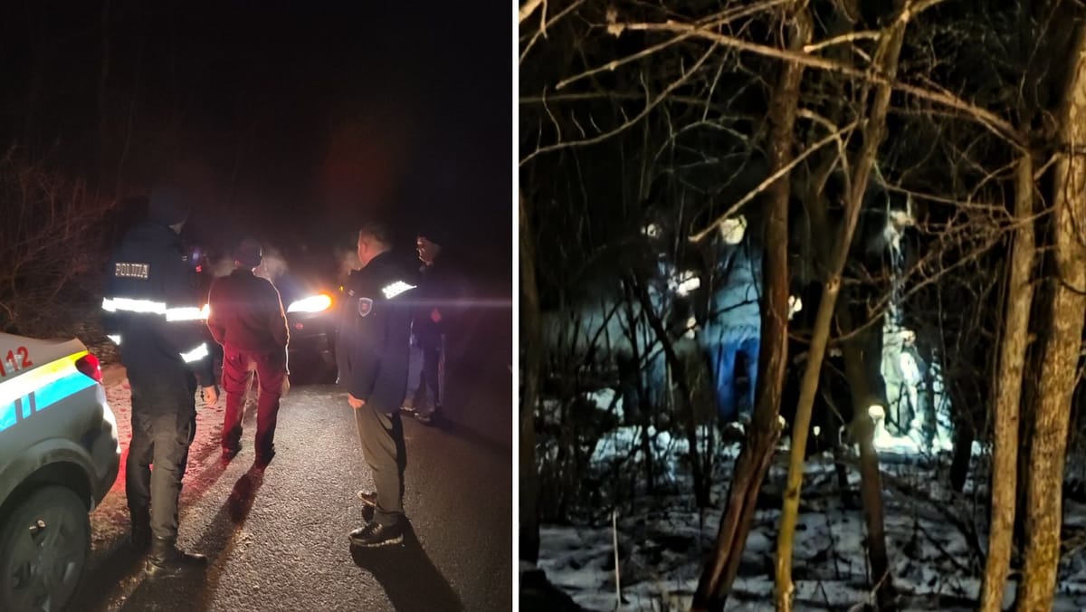 Tăiere ilegală de copaci la Nihoreni. Un bărbat a fost prins în pădure la miez de noapte