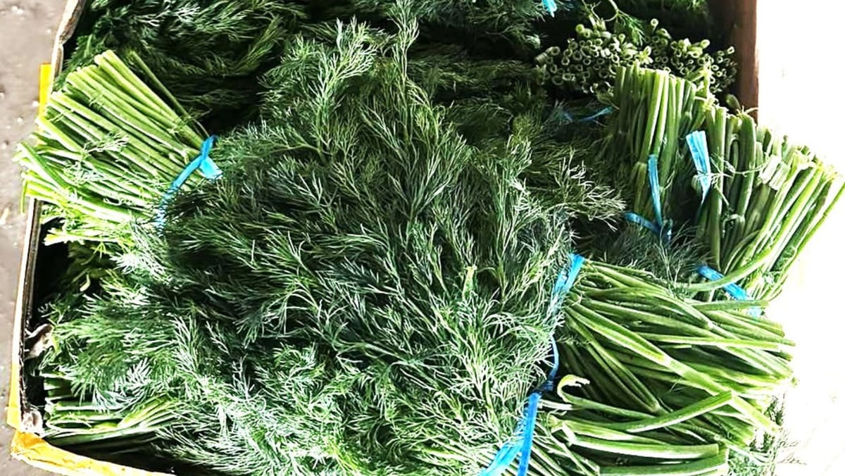 FOTO/ Încă 15 tone de mărar de import au fost reținute și nimicite