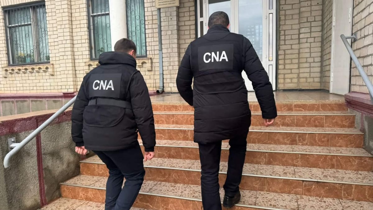 Angajări fictive și puieți neplantați: Întreprinderea silvică Iargara ar fi prejudiciat statul cu milioane de lei