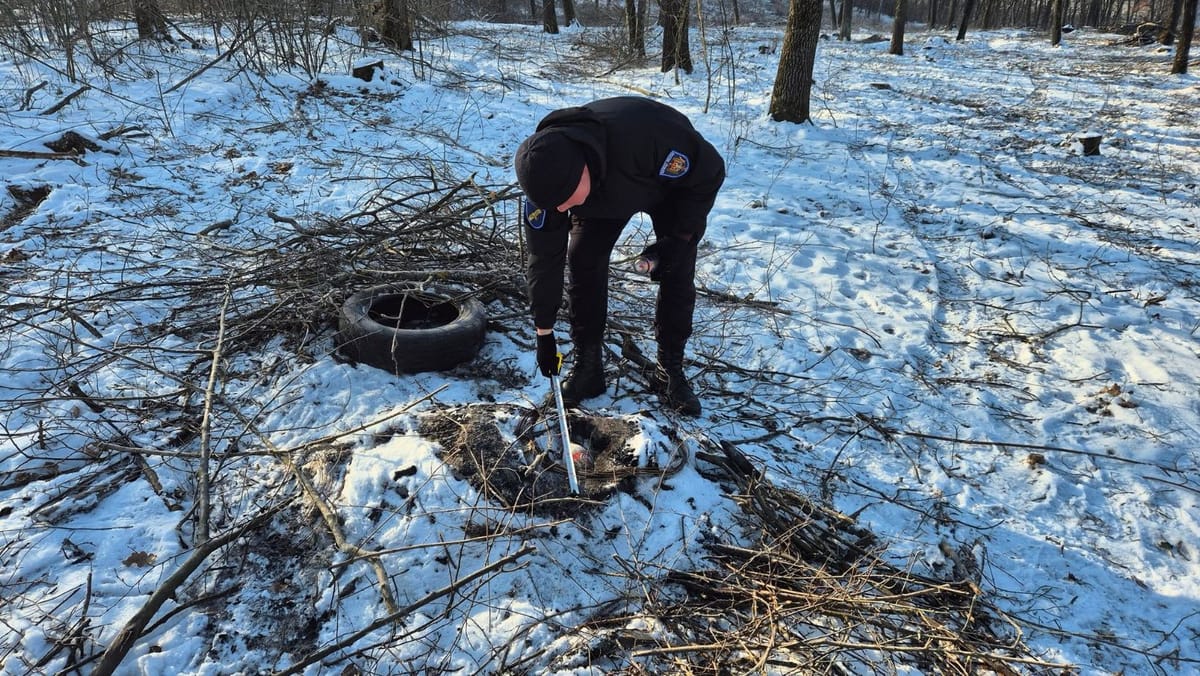 Directorul și alți cinci angajați ai Întreprinderii Silvice Chișinău, demiși. Este vizat și șeful Ocolului Silvic Ghidighici