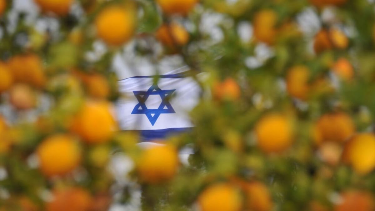 Israelul câștigă teren pe piața din R. Moldova. Timp de un an, importurile au crescut cu peste 125%