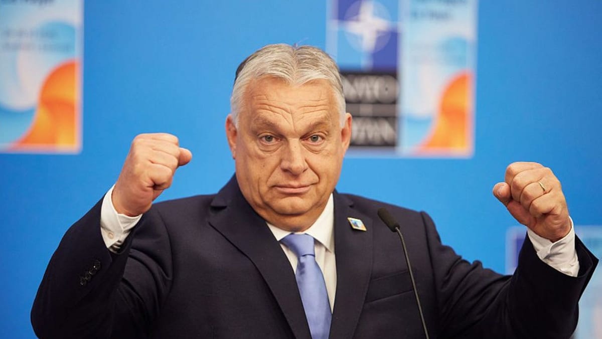 Orban mobilizează armata pentru a proteja infrastructura energetică a Ungariei de „atacuri ucrainene”