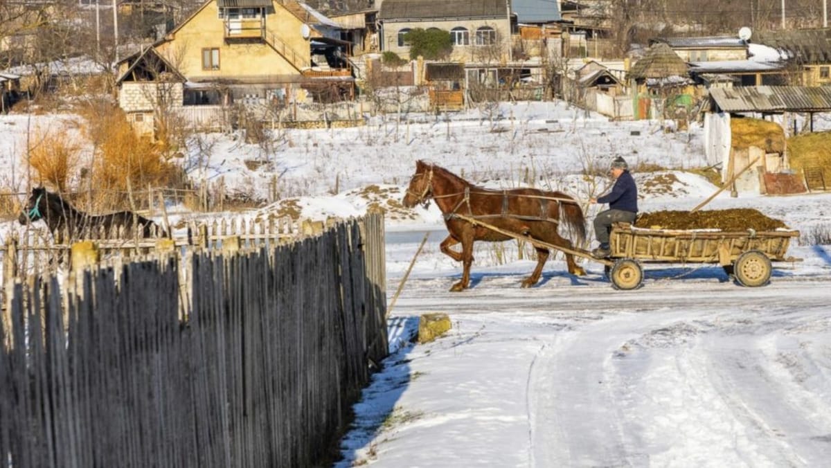 Divergențe pe reforma APL: MAN cere referendum,  Guvernul vorbește despre un proces voluntar și etapizat