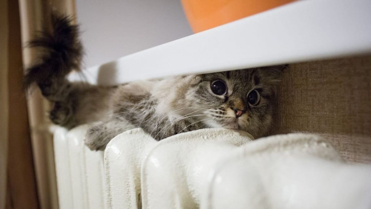 Au intrat în vigoare noile tarife la energia termică: Reduceri în centru și sud, majorări în nord