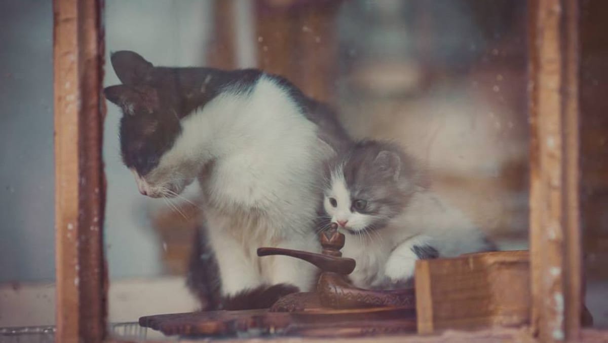 Vreme mai rece în toată țara și lapoviță slabă în mai multe raioane. Prognoza meteo pentru ziua de 26 februarie