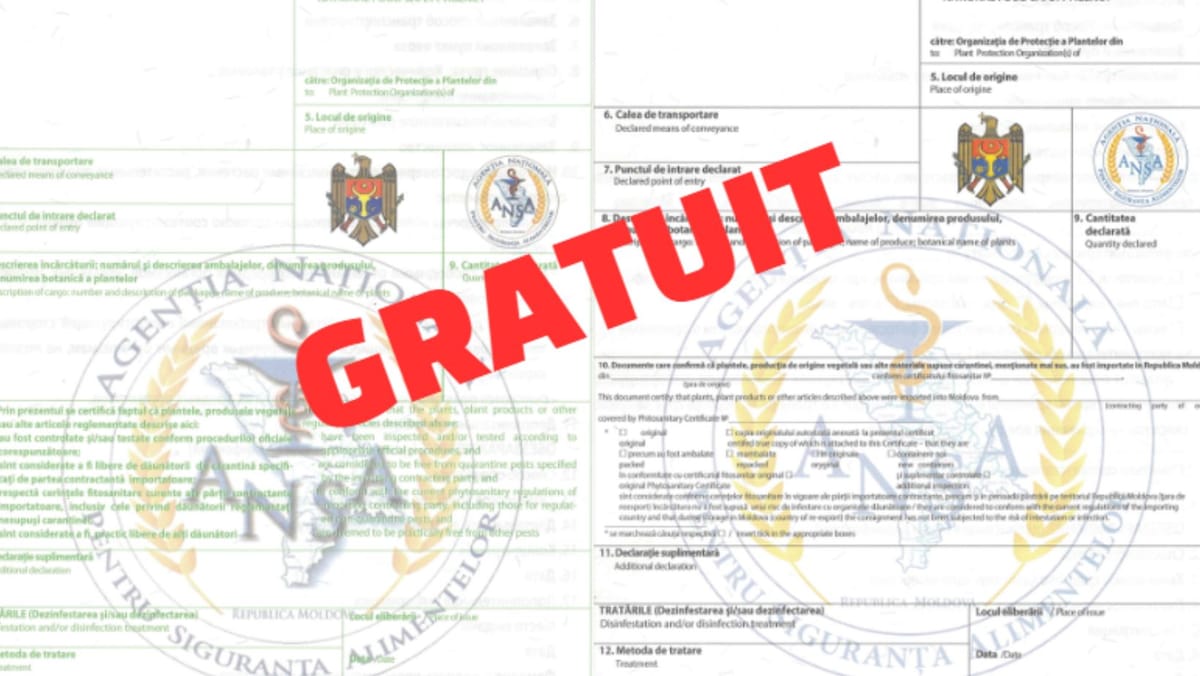 Export mai simplu pentru producători. ANSA elimină taxele la certificatele fitosanitare