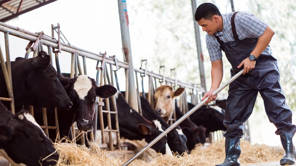 Granturi de până la un milion de dolari pentru fermieri prin Proiectul AGGRI. Ministerul Agriculturii a lansat un nou apel