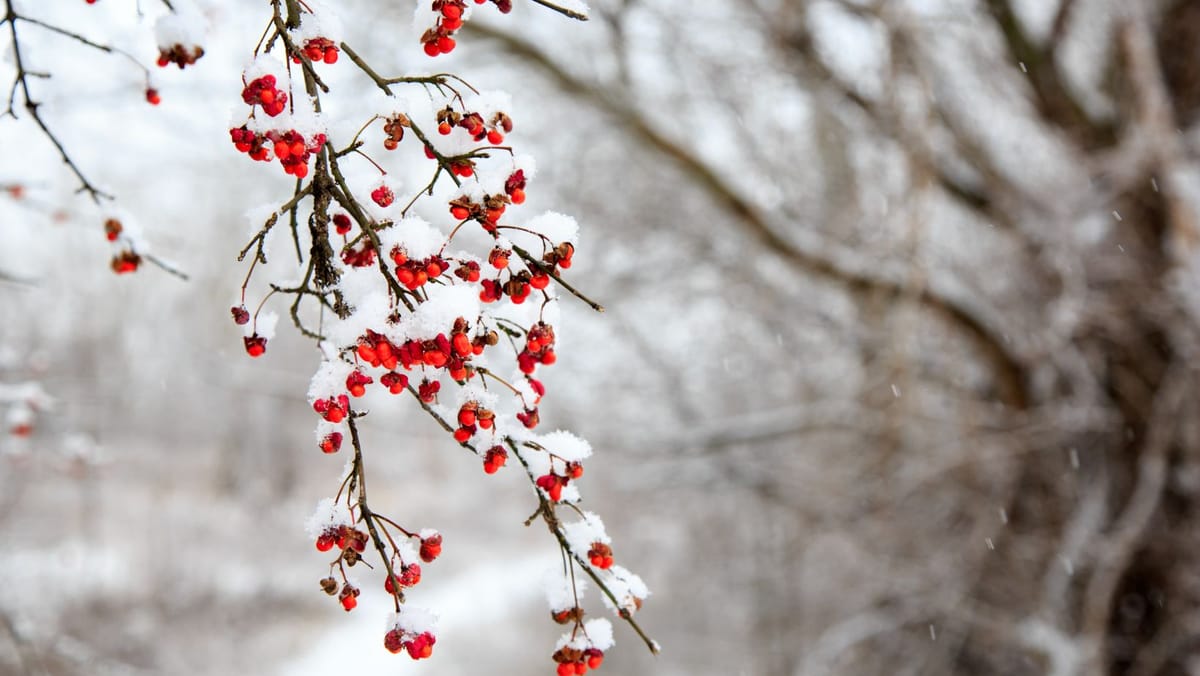 Duminică se schimbă vremea în toată țara. Se așteaptă ploi, lapoviță și vânt puternic