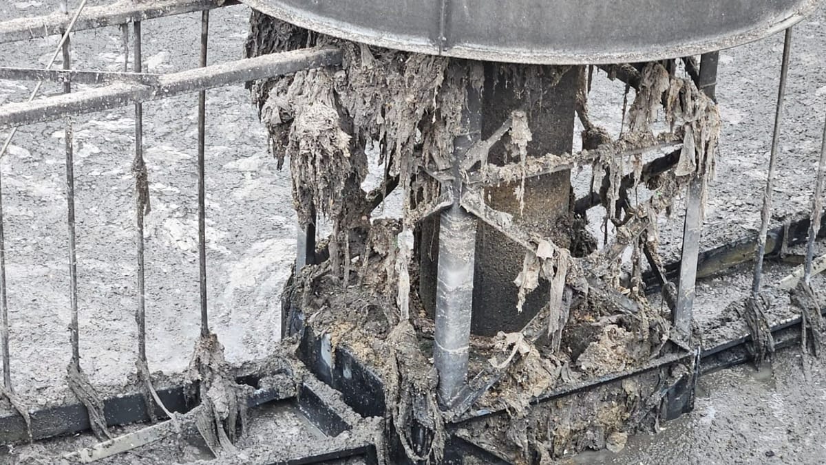 Stația de epurare din Brașov, blocată de... șervețele umede. Compania de apă face apel către populație