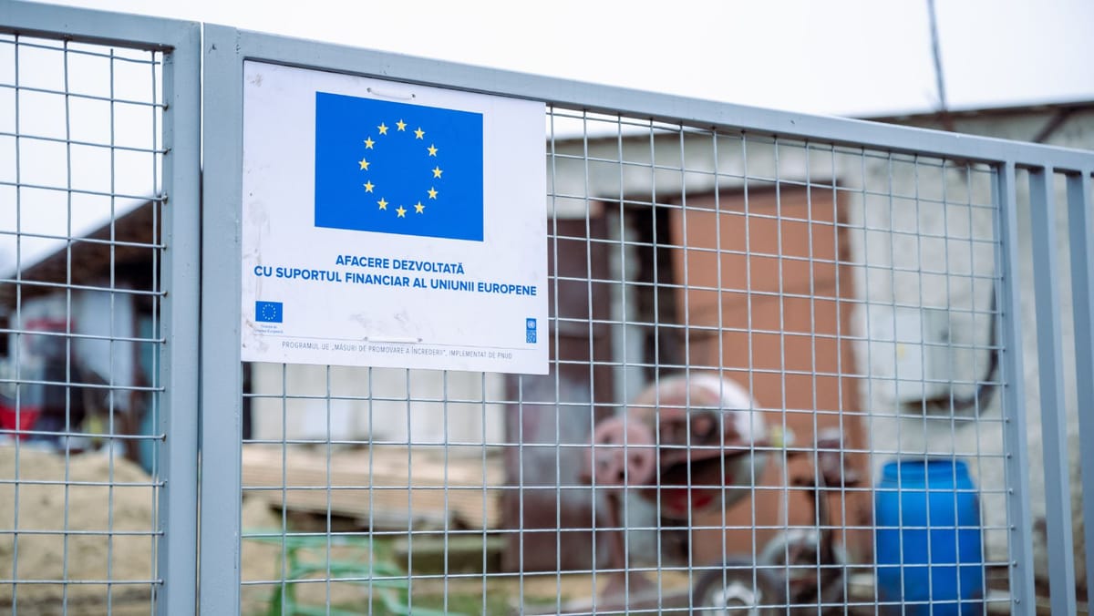 Istorie de succes la Vadul-Rașcov. Un tânăr antreprenor dezvoltă ferma familiei și creează locuri de muncă în sat