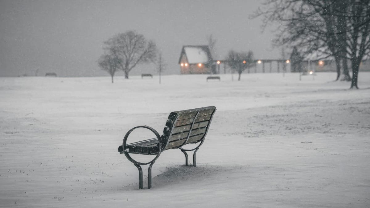 Se anunță ninsori și vânt puternic pe 18 februarie! Sudul și centrul țării, cele mai afectate