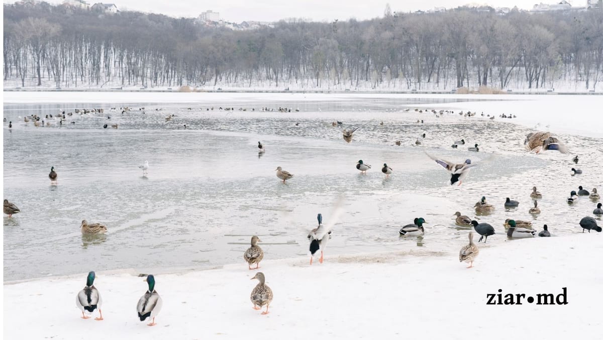 Câte grade vor fi astăzi? Prognoza meteo pentru 11 februarie