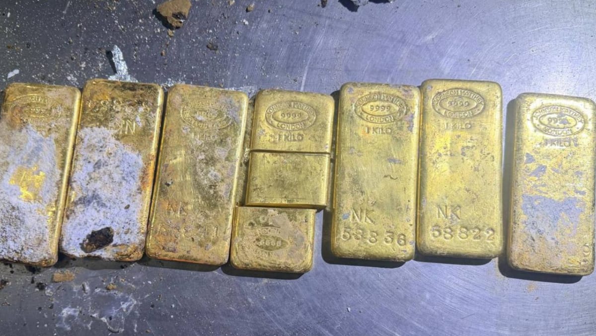 VIDEO/ Șapte lingouri de aur, depistate la Leușeni: prejudiciu estimat la circa 19 milioane de lei