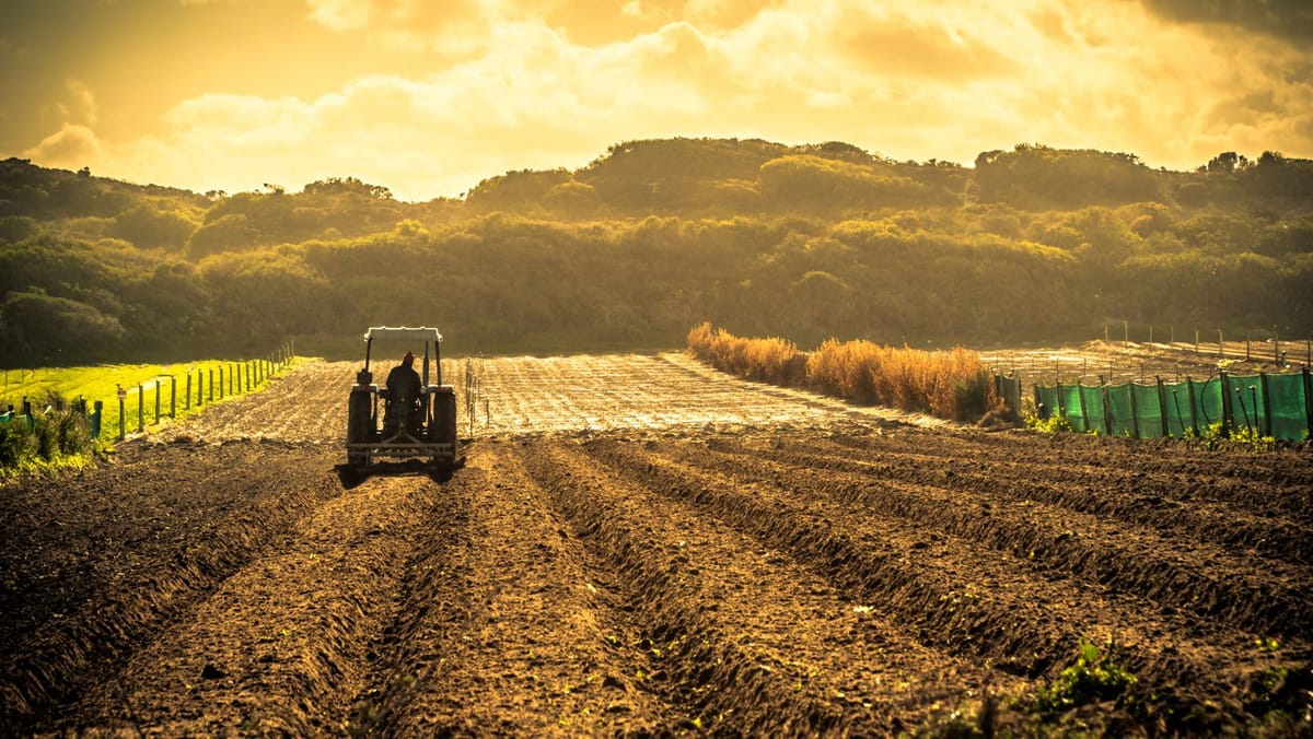 Statul acoperă 70% din prima de asigurare în agricultură. Fermierii sunt îndemnați să-și protejeze investițiile