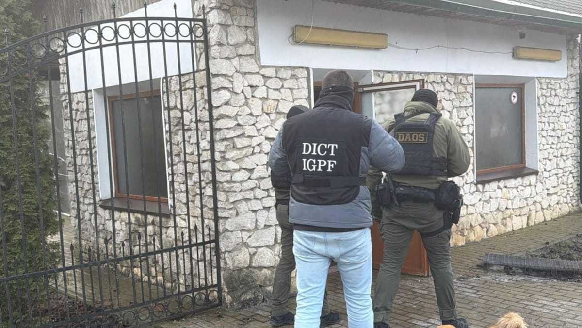 VIDEO/ Export ilegal de vinuri cu marcă franceză: schema identificată de autorități