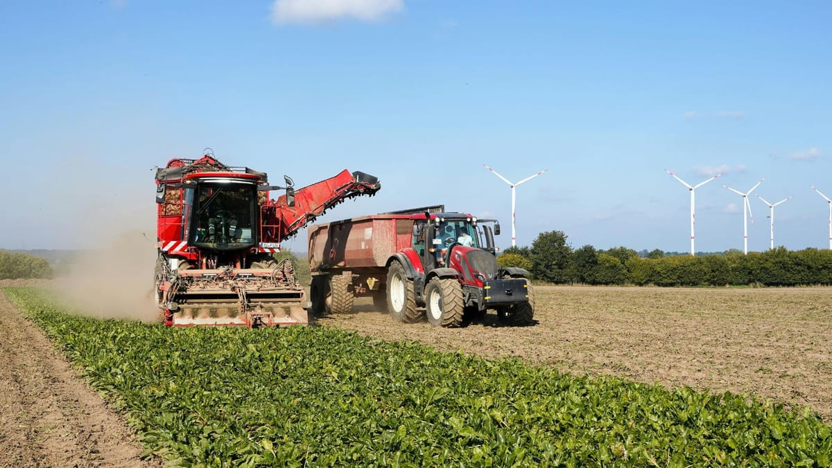 Plăți post-investiționale și alte subvenții: AIPA alocă aproape 600 de milioane de lei fermierilor