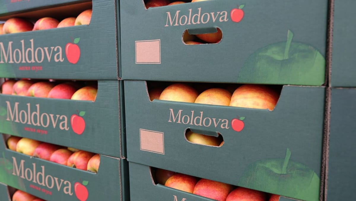 Războiul din Orientul Mijlociu afectează producătorii și exportatorii din R. Moldova